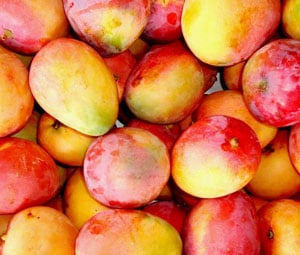 Frutas sob impacto: EUA aplicam tarifação de 40% a partir de hoje e ampliam pressão sobre exportações brasileiras, afirma Cepea