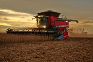 PIB da cadeia da soja e do biodiesel pode crescer quase 11% em 2025, aponta Cepea/Abiove