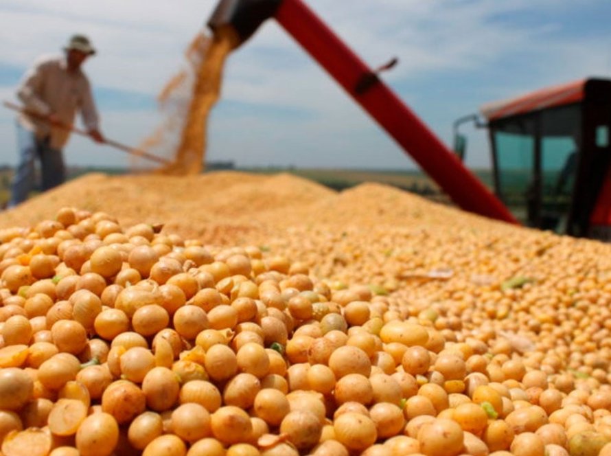 StoneX vê aumento de 5,6% na nova safra de soja do Brasil