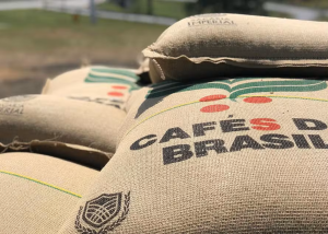 Brasil exporta 3,1 mi de sacas de café em agosto, queda de 17,5% ante ago/24