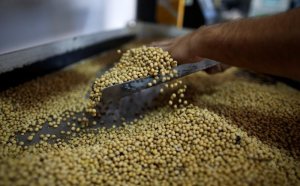 China amplia compra de soja argentina para 20 cargas, dizem traders