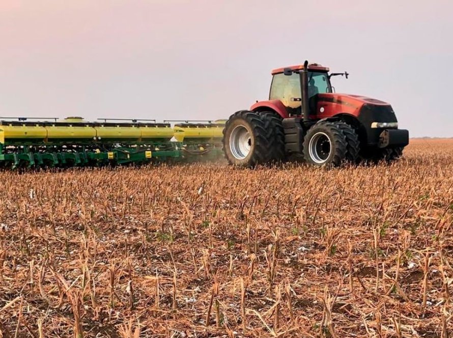 Clima indica ritmo lento no plantio de soja do Brasil nos próximos dias, diz EarthDaily