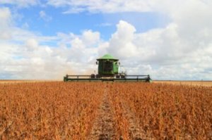 Estudo do Cepea e Abiove mostra impacto do biodiesel na cadeia da soja