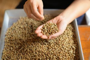 Exportação de café brasileiro aos EUA via terceiros não é uma opção, diz Cecafé