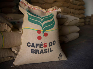 Exportação de cafés especiais e solúvel do Brasil aos EUA despenca em agosto, dizem associações