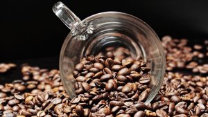 Após meses de queda, os preços do café brasileiro registraram forte recuperação
