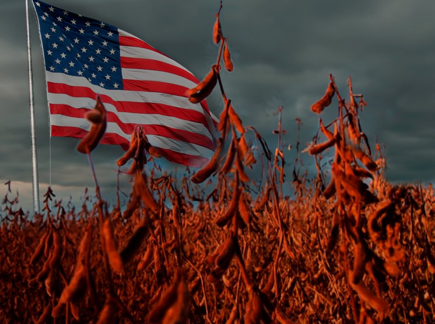 Produtores americanos vivem calamidade financeira que dá sinais importantes ao mercado da soja no BR