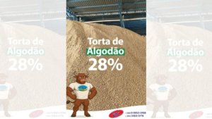 Torta de algodão potencializa o lucro e melhora os resultados para a recria e engorda