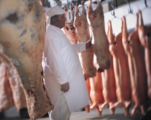 ABPA celebra anúncio do MAPA sobre retomada do pre-listing para exportações de carne de aves à União Europeia