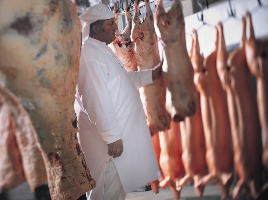 ABPA celebra anúncio do MAPA sobre retomada do pre-listing para exportações de carne de aves à União Europeia