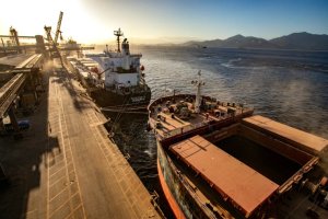 China reforça compras de soja do Brasil diante da queda dos EUA