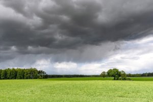 Chuvas desiguais dividem o cenário agrícola brasileiro