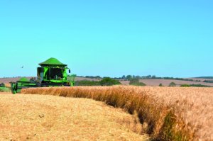 Conab projeta nova alta na produção de grãos e área cultivada na safra 2025/26