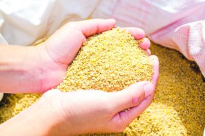 Oferta elevada pressiona mercado de farelo de soja