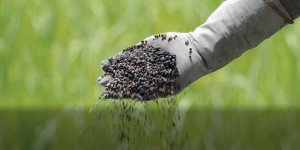 Risco de restrição chinesa nas exportações de fertilizantes preocupa o mercado global
