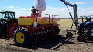 Semeadura do arroz representa mais de 50% da intenção em todo o Estado