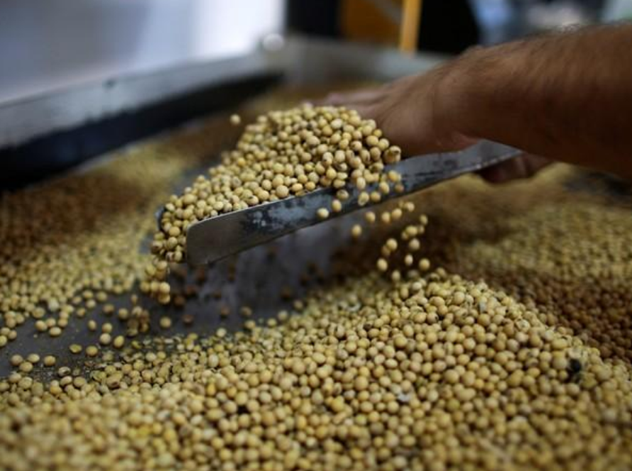 Soja tem estabilidade em Chicago nesta 6ª feira, após intensa semana de notícias e movimentações