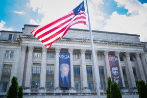 Após 43 dias de especulações, USDA traz novo reporte e pode cortar produções de soja e milho dos EUA