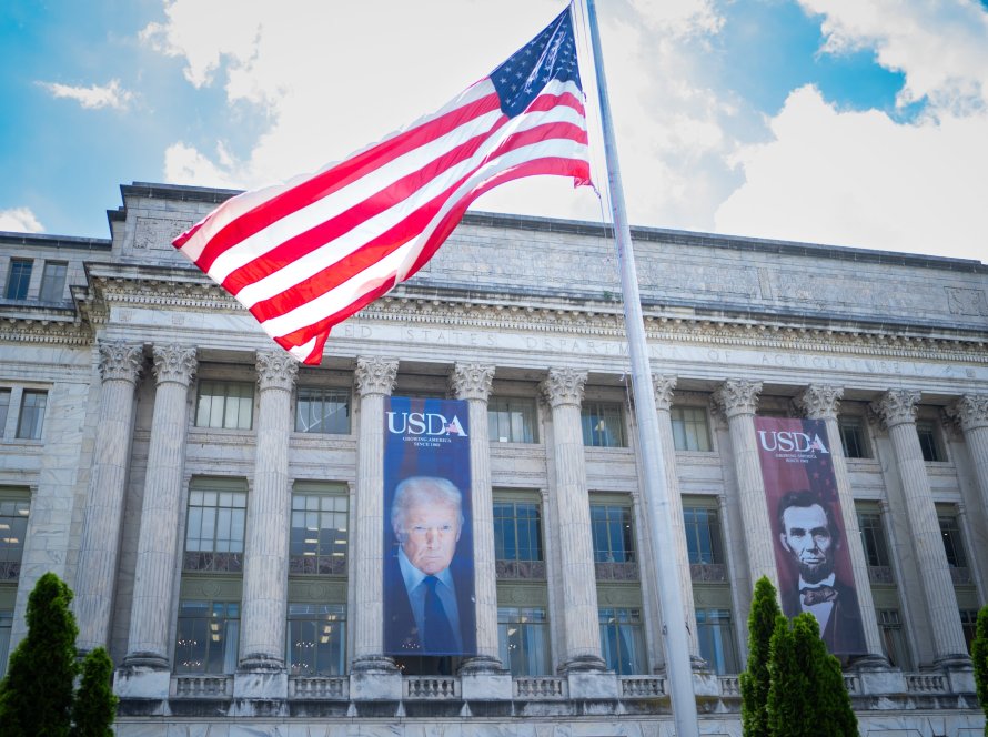 Após 43 dias de especulações, USDA traz novo reporte e pode cortar produções de soja e milho dos EUA