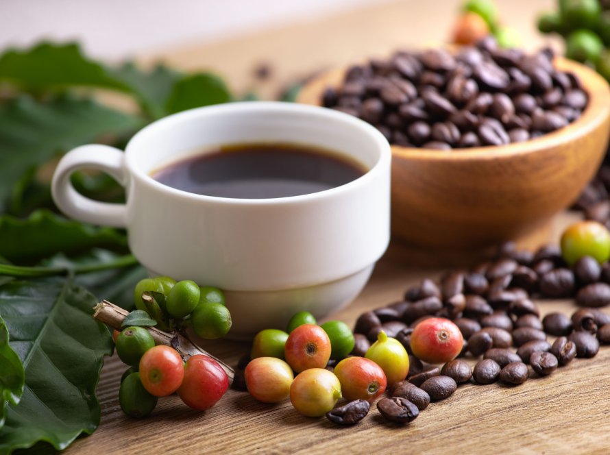 BSCA: Retirada das taxas sobre exportações dos cafés especiais aos EUA corrige distorções do mercado