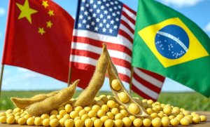 China retira tarifas de produtos dos EUA, mas mantém soja taxada e Chicago sobe, está correto?