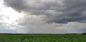 Chuvas retornam a áreas de soja do Brasil, mas Estados do Matopiba enfrentam seca, diz EarthDaily