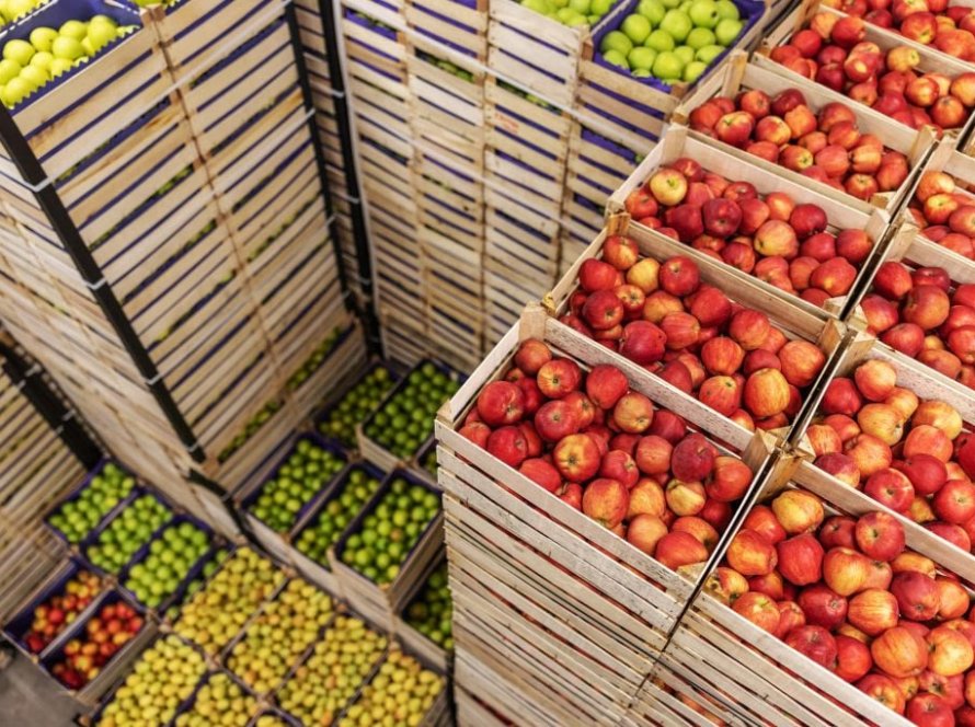 EUA anunciam redução de tarifas agrícolas e medida alivia exportações cearenses