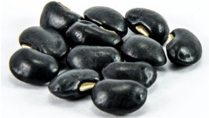 Exportação segue registrando desempenho recorde