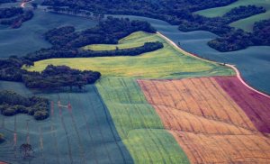 Goiás zera fila do licenciamento ambiental