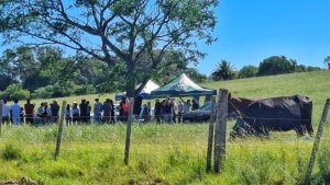 Produtores da Campanha conhecem tecnologias para bovinos e gestão do clima
