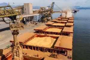 Soja responde por 21% da movimentação e lidera exportações no Paraná