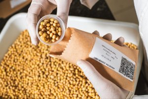 A importância vital da semente de soja de alta performance e boa qualidade para garantia de rentabilidade