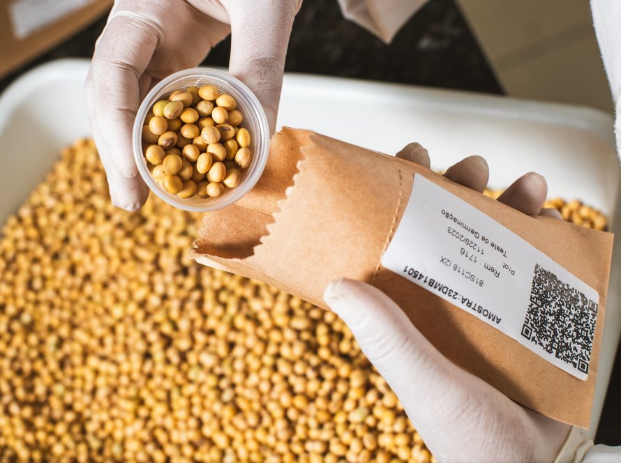 A importância vital da semente de soja de alta performance e boa qualidade para garantia de rentabilidade