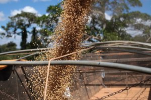 Agronegócio exporta US$ 13,4 bilhões em novembro e responde por quase metade das vendas externas do país