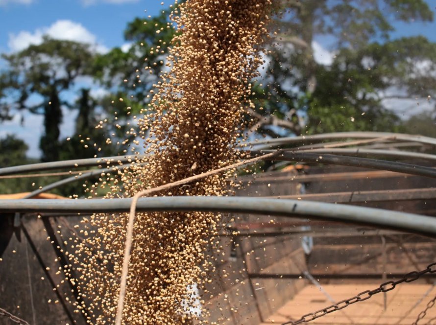 Agronegócio exporta US$ 13,4 bilhões em novembro e responde por quase metade das vendas externas do país