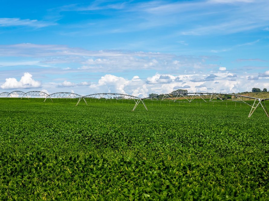 Área plantada com soja em Rondônia deve ultrapassar os 700 mil hectares na safra 2025/2026
