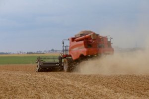 Brasil caminha para safra recorde de soja