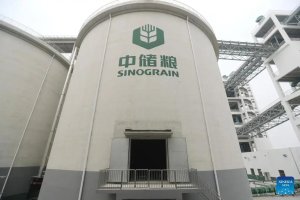 Chinesa Sinograin vende estoques de soja antes da chegada de carga dos EUA