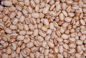 Exportações de feijão batem recorde anual, enquanto mercado interno mantém ritmo lento, aponta indicador Cepea/CNA