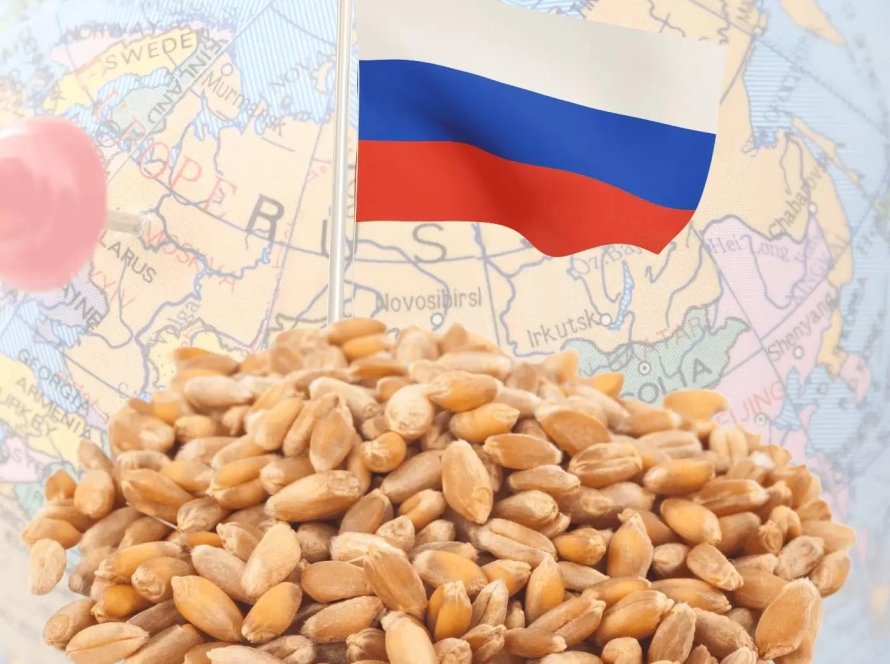 Exportações de grãos russos por via marítima têm 1ª alta na temporada 25/26