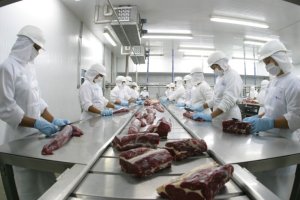 Mato Grosso registra maior exportação de carne bovina de sua história