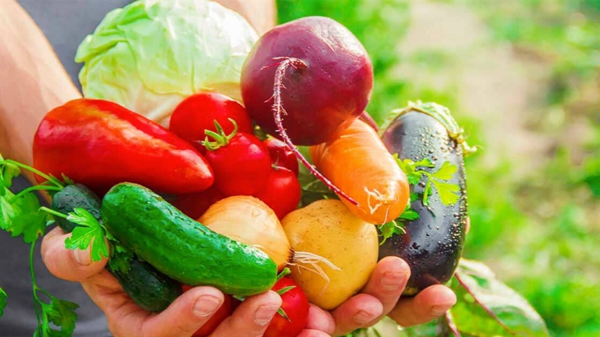 Oferta elevada, preço em queda e margem pressionada marcam 2025; exportação surpreende pela resiliência