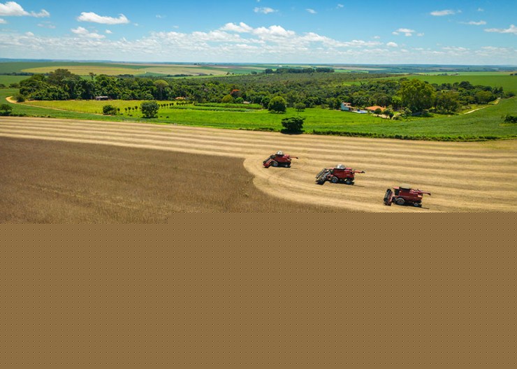 Plano Clima define metas e estratégias para a transição sustentável do agro até 2050