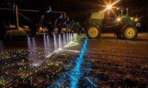 Safra 2025/26 começa com clima irregular e avanço mais lento do plantio