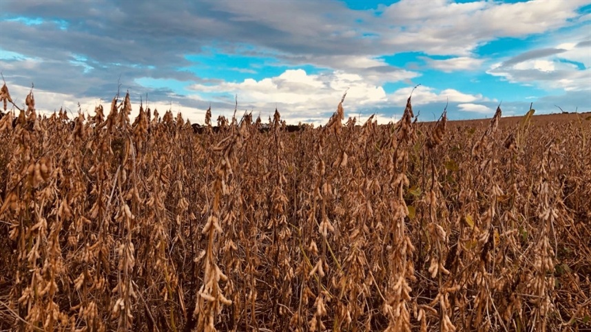 A pressão sobre os preços esteve ligada à realidade dos números de exportação