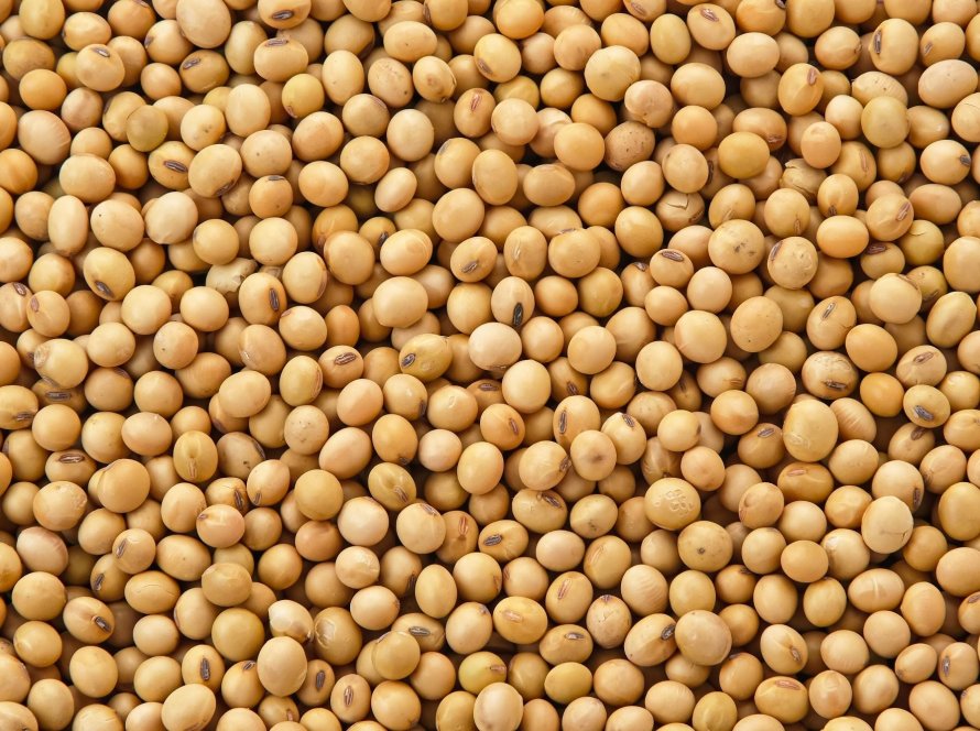 Soja sobe levemente em Chicago nesta 5ª feira, esperando pelo USDA e monitorando notícias conhecidas