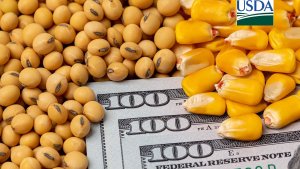 USDA reduz estoques finais de milho dos EUA e mantém os de soja nesta 3ª feira (9)