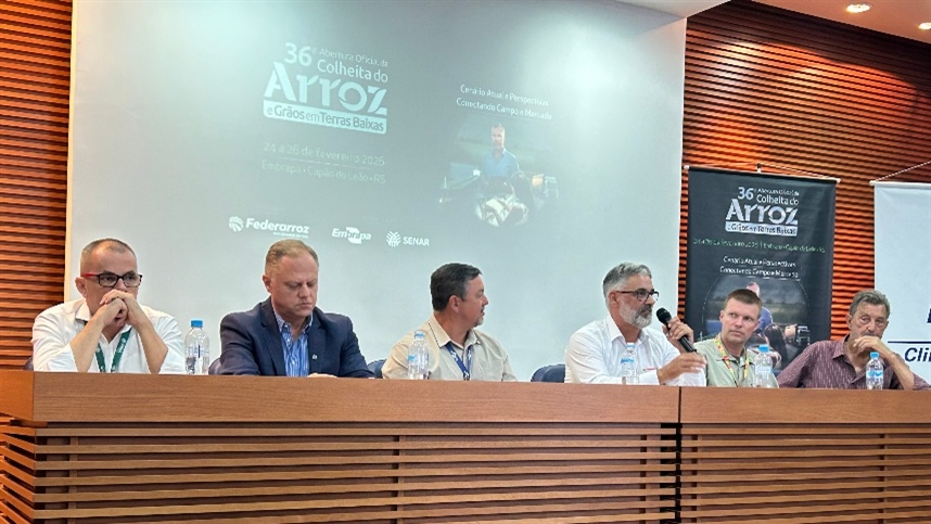 Arroz, etanol e exportação: os caminhos em discussão no Sul do paí