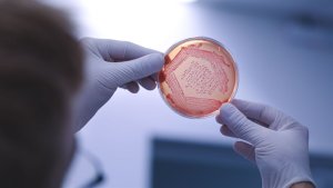 A estratégia prevê o posicionamento da agricultura brasileira como referência