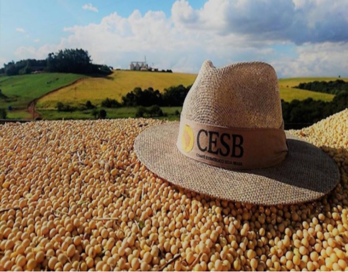 CESB adia inscrições do Desafio de Máxima Produtividade de Soja diante dos desafios da safra 2025/26